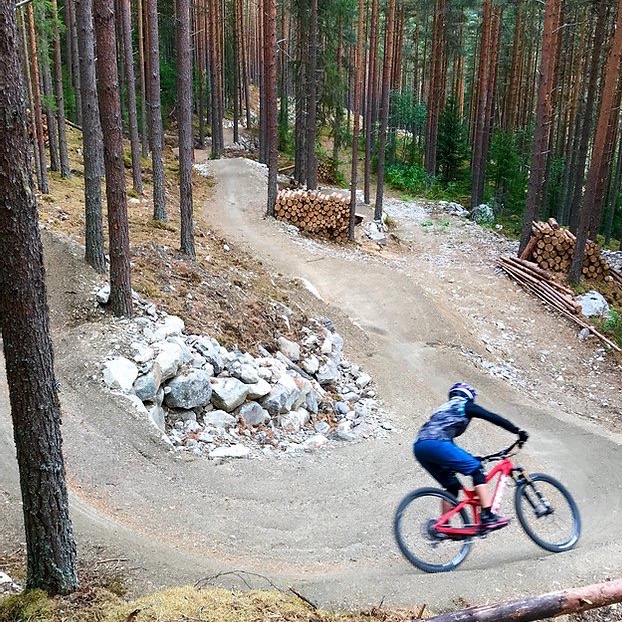 den ravinde mtbadapt